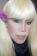 Milano Trans Escort Nicole Vip Venturiny 353 35 38 868 foto selfie 25