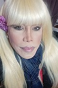 Milano Trans Escort Nicole Vip Venturiny 353 35 38 868 foto selfie 24