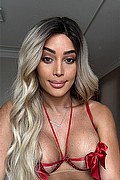 Udine Trans Escort Iris Araujo 388 45 77 638 foto selfie 45