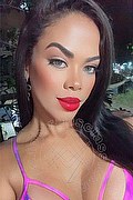 Avignone Trans Natty Collin  0033785226903 foto selfie 7
