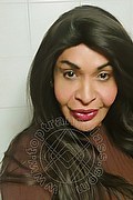 Prato Trans Taina Oliveira 328 53 82 487 foto selfie 1