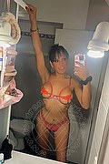 Trieste Trans Escort Viviana 388 15 30 590 foto selfie 1