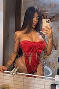 Milano Trans Milena Miranda 388 63 10 811 foto selfie 2