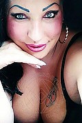 Caserta Trans Escort Sara 338 75 29 993 foto selfie 16