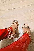 Reggio Emilia Trav Chanel Sexy 339 10 41 230 foto selfie 3