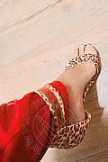 Reggio Emilia Trav Chanel Sexy 339 10 41 230 foto selfie 2