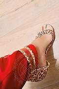 Reggio Emilia Trav Escort Chanel Sexy 339 10 41 230 foto selfie 2