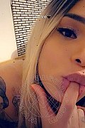 Vercelli Trans Nicole Moraes 388 75 17 090 foto selfie 9