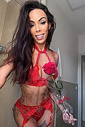 Napoli Trans Escort Nayara Bambolina 320 63 94 047 foto selfie 3