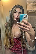 Bari Trans Kelly Melo Pornostar 350 91 74 317 foto selfie 1
