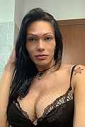 Grosseto Trans Escort Michelle Gomes Pornostar 389 91 31 177 foto selfie 1