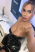 Viareggio Trans Escort Dafne Pornostar 380 14 22 205 foto selfie 11