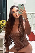 Recife Trans Escort Bella Angel  005581988073834 foto selfie 1