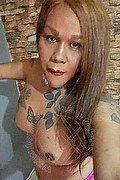 Milano Trans Escort Isabella Oliver 329 63 45 891 foto selfie 7