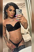 Gallarate Trans Escort Kauane Lima 351 44 38 227 foto selfie 1