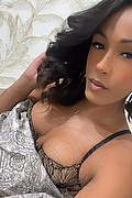 Parigi Trans Escort Gabrielly Victoria  0033610325585 foto selfie 3