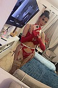 Viareggio Trans Escort Dafne Pornostar 380 14 22 205 foto selfie 3