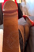 Vicenza Trav Karen Borges 392 81 12 393 foto selfie 15