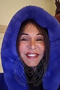 Gallarate Trans Escort Federica Novit 345 46 77 234 foto selfie 3