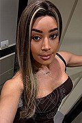 Pavia Trans Iris Araujo 388 45 77 638 foto selfie 1
