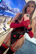 Viareggio Trans Dafne Pornostar 380 14 22 205 foto selfie 2