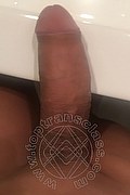 Asti Trans Angeles Cid 328 24 36 801 foto selfie 17