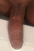 Asti Trans Escort Angeles Cid 328 24 36 801 foto selfie 12