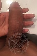 Asti Trans Escort Angeles Cid 328 24 36 801 foto selfie 5