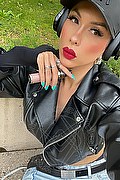 Grosseto Trans Escort Barbie Argentina 388 56 89 591 foto selfie 1