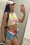 Milano Trans Nicolly Hilton 392 51 62 733 foto selfie 52