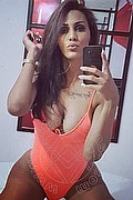 Milano Trans Nicolly Hilton 392 51 62 733 foto selfie 2