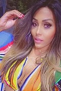 Milano Trans Nicolly Hilton 392 51 62 733 foto selfie 1