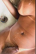 Milano Trans Nicolly Hilton 392 51 62 733 foto selfie 54