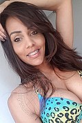 Somma Lombardo Trans Escort Nicolly Hilton 392 33 27 327 foto selfie 37
