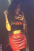Somma Lombardo Trans Escort Nicolly Hilton 392 33 27 327 foto selfie 14