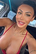 Desenzano Del Garda Trans Escort Thayys Castro 329 72 89 046 foto selfie 5