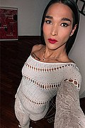 Milano Trans Escort Bella Xxl 393 52 92 998 foto selfie 2