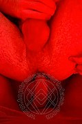 Cattolica Trans Escort Sara Pornostar 347 85 52 861 foto selfie 12