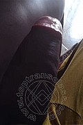 Milano Trans Rakel La Super Dotata 379 17 41 974 foto selfie 3