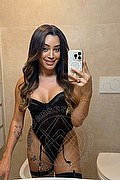Torino Trans Escort Iris Araujo 388 45 77 638 foto selfie 12