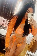 Roma Trans Alexia Fox 344 79 64 422 foto selfie 1