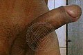 Vanzago Mistress Trans Desia 388 80 87 953 foto selfie 7