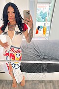 Torino - Milano Trans Spada Versatile Jj 375 57 80 540 foto selfie 3