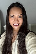 Roma Trans Escort Layla Orientale 338 18 22 095 foto selfie 2