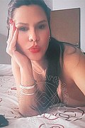 Arezzo Escort Larissa Chic 388 86 11 516 foto selfie 1