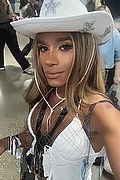 Milano Trans Escort Candy Luna 338 17 73 610 foto selfie 5