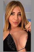 Roma Trans Vip Giovanna 334 11 15 991 foto selfie 2