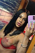 Bologna Trans Cacau Reis 380 58 92 172 foto selfie 5