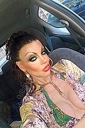 Cosenza Trans Angelica 329 97 11 770 foto selfie 4
