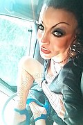 Cosenza Trans Angelica 329 97 11 770 foto selfie 3